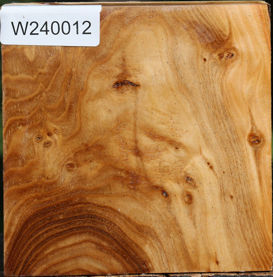 Extra Fancy Silver Poplar Bowl Blank