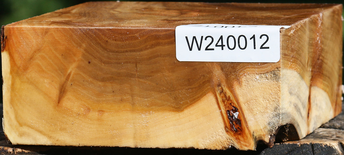 Extra Fancy Silver Poplar Bowl Blank