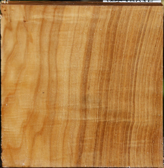 Figured Silver Poplar Bowl Blank