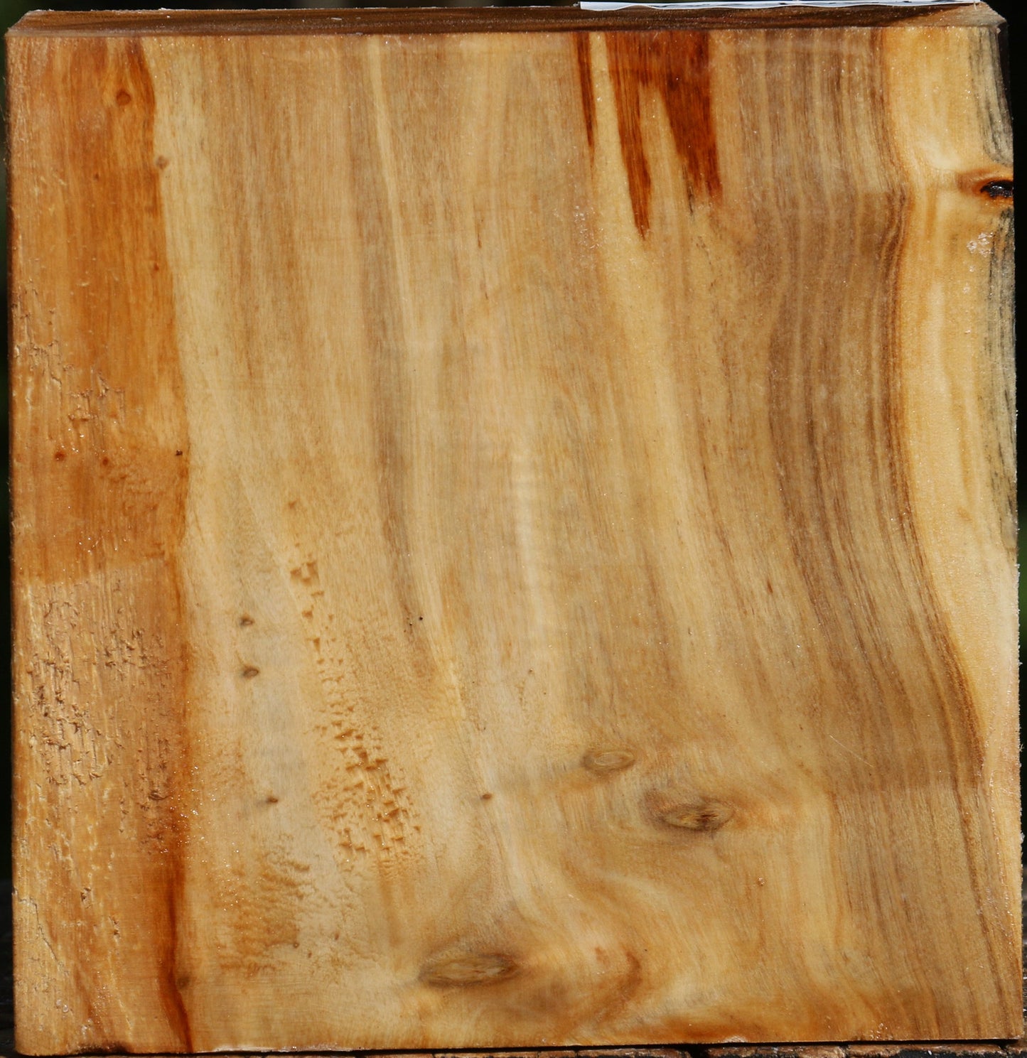 Figured Silver Poplar Bowl Blank