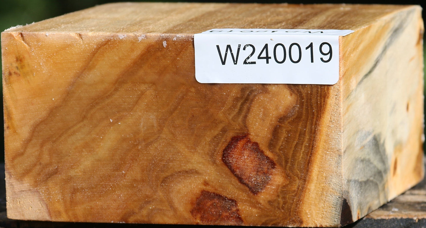 Figured Silver Poplar Bowl Blank