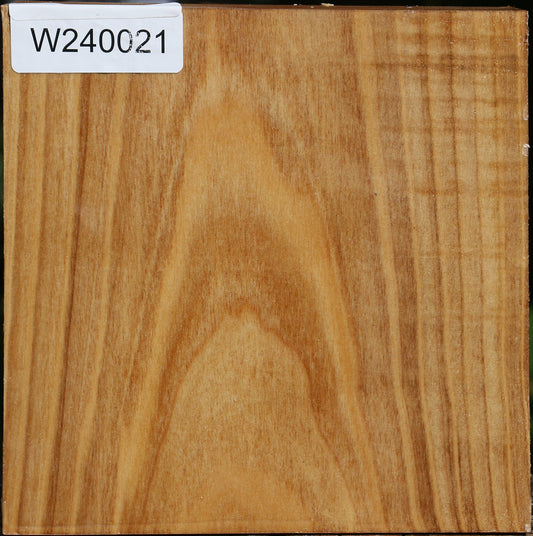 Silver Poplar Bowl Blank