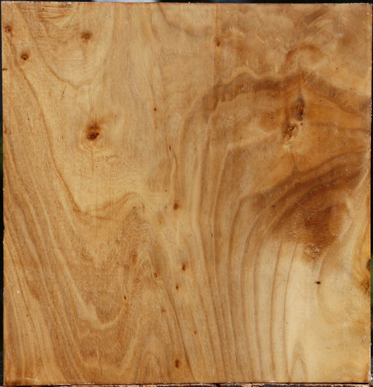 Figured Silver Poplar Bowl Blank