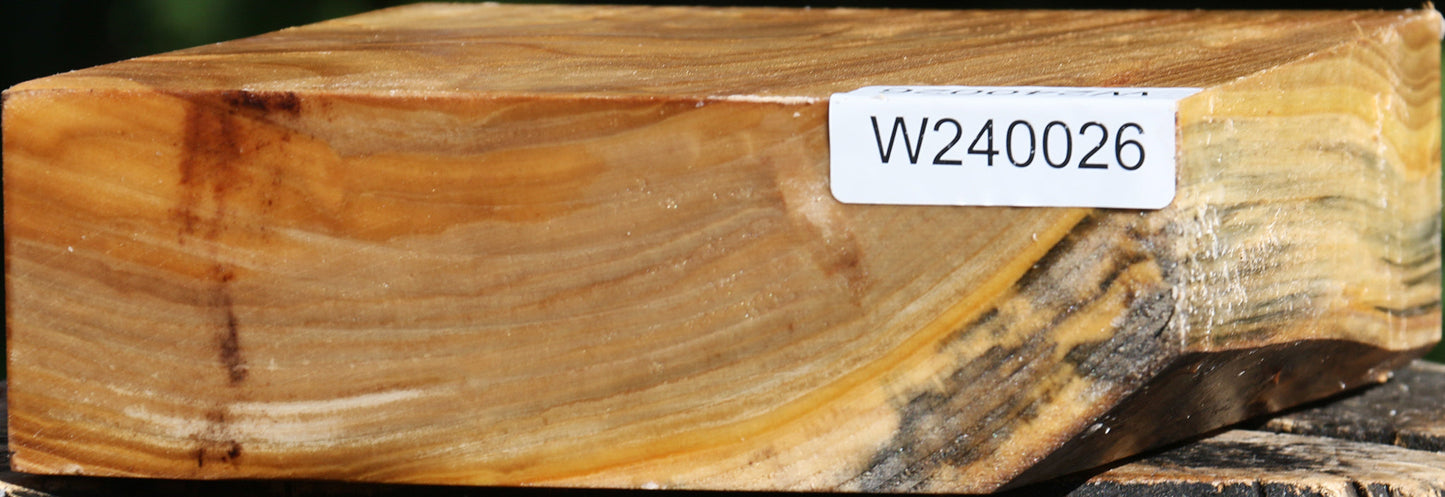 Silver Poplar Bowl Blank