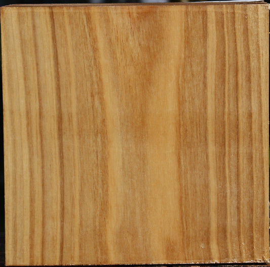 Silver Poplar Bowl Blank