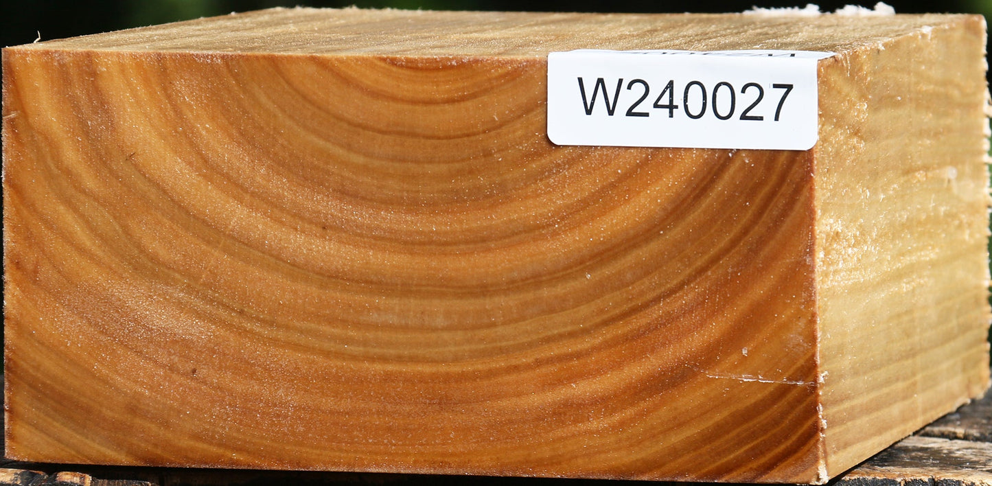 Silver Poplar Bowl Blank