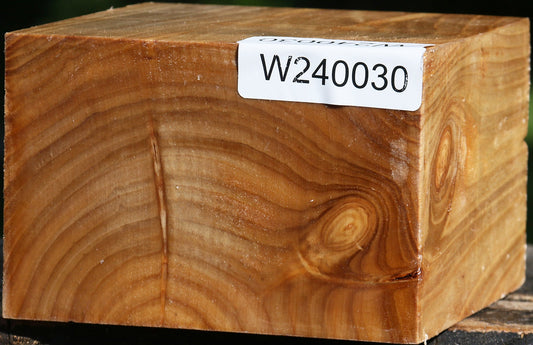 Silver Poplar Bowl Blank