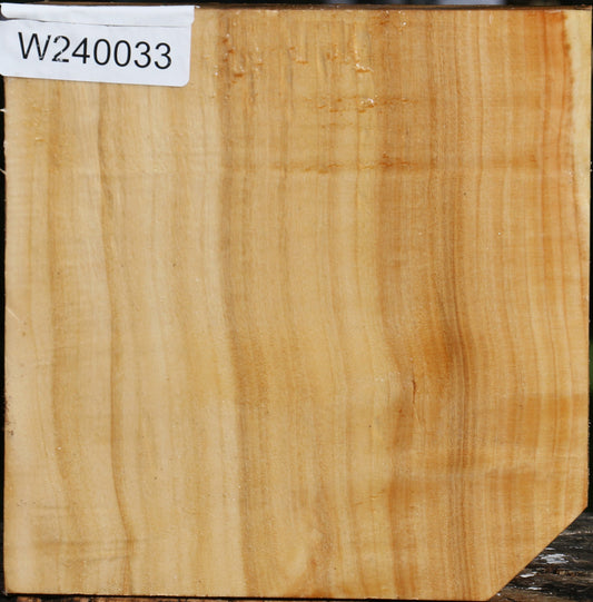 Silver Poplar Bowl Blank