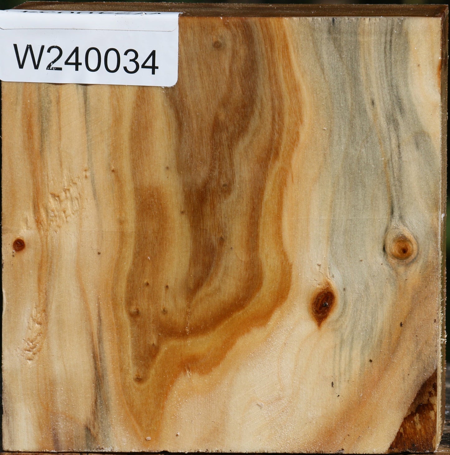 Figured Silver Poplar Bowl Blank