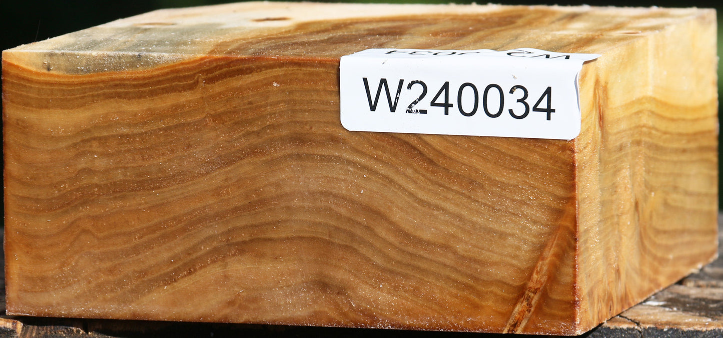 Figured Silver Poplar Bowl Blank