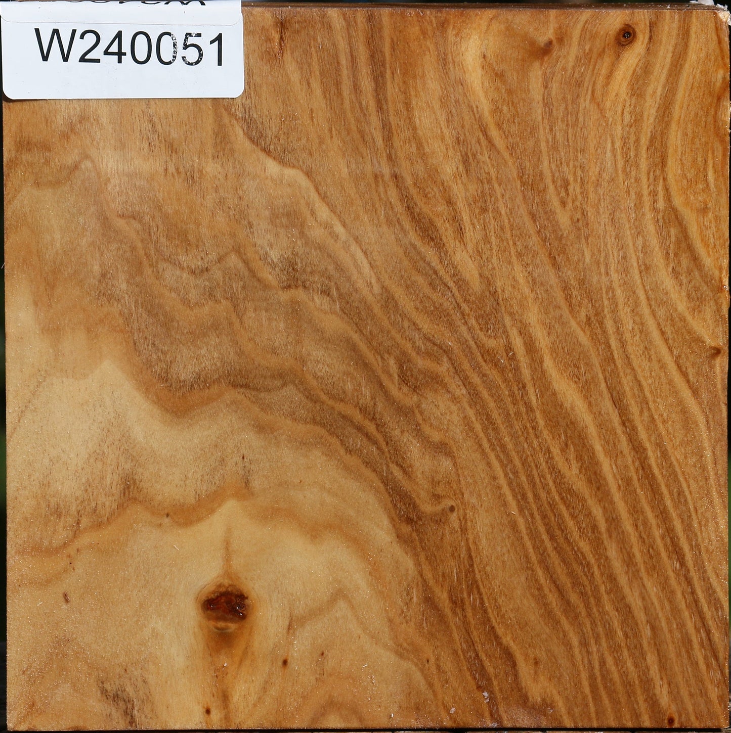 Figured Silver Poplar Bowl Blank