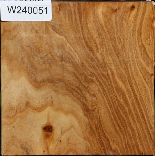 Figured Silver Poplar Bowl Blank