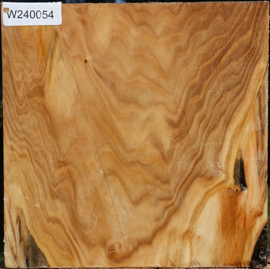 Extra Fancy Silver Poplar Bowl Blank