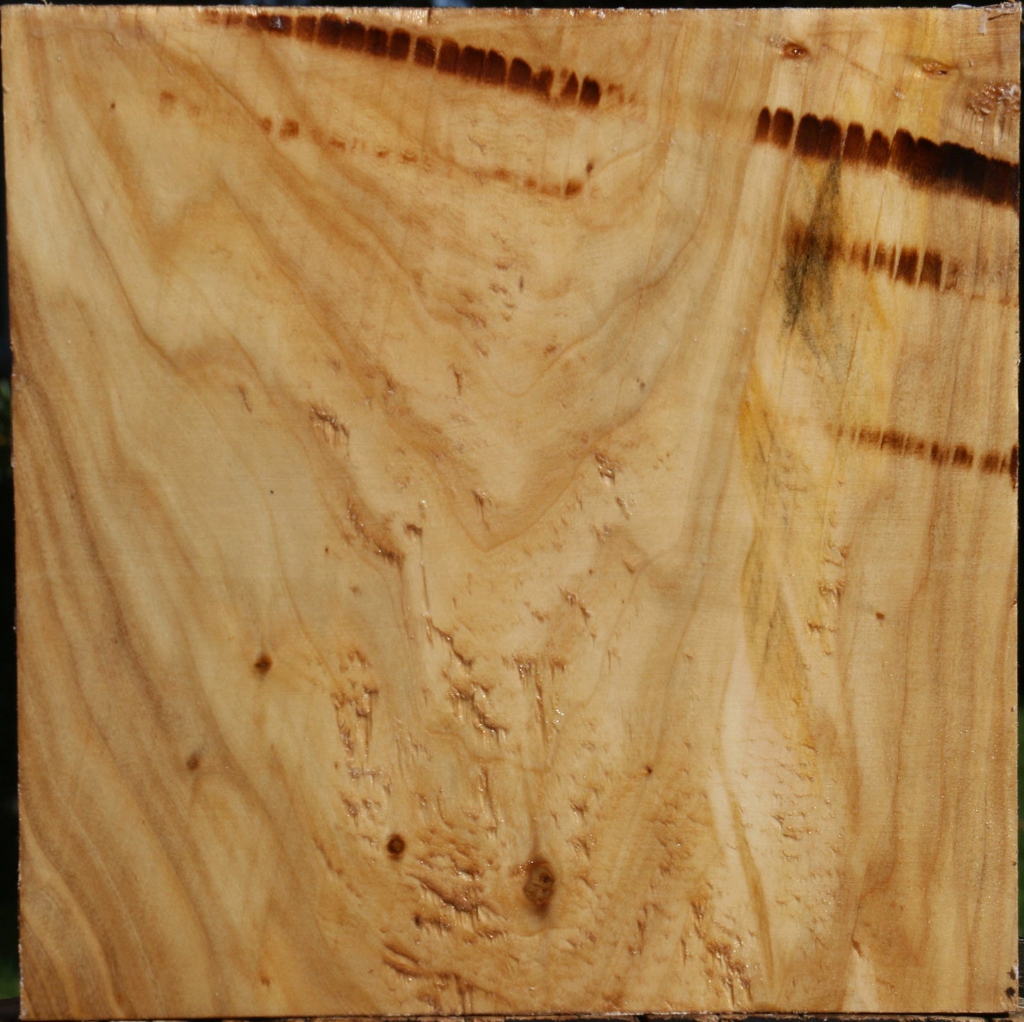 Extra Fancy Silver Poplar Bowl Blank