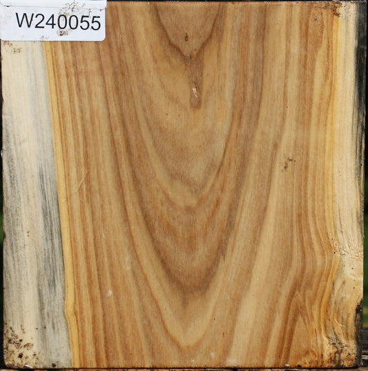 Silver Poplar Bowl Blank