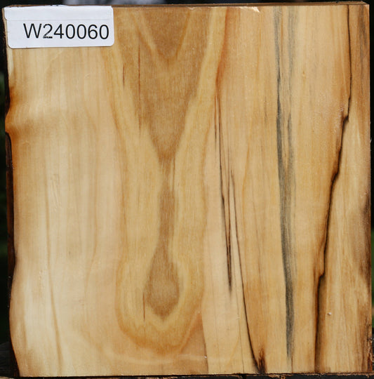 Silver Poplar Bowl Blank