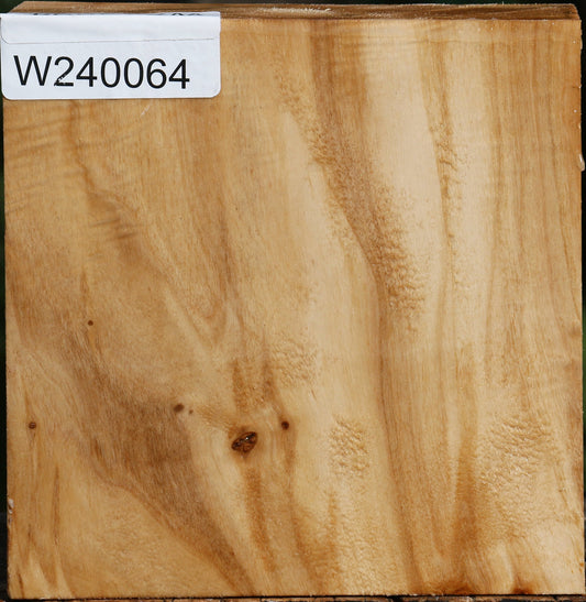 Figured Silver Poplar Bowl Blank