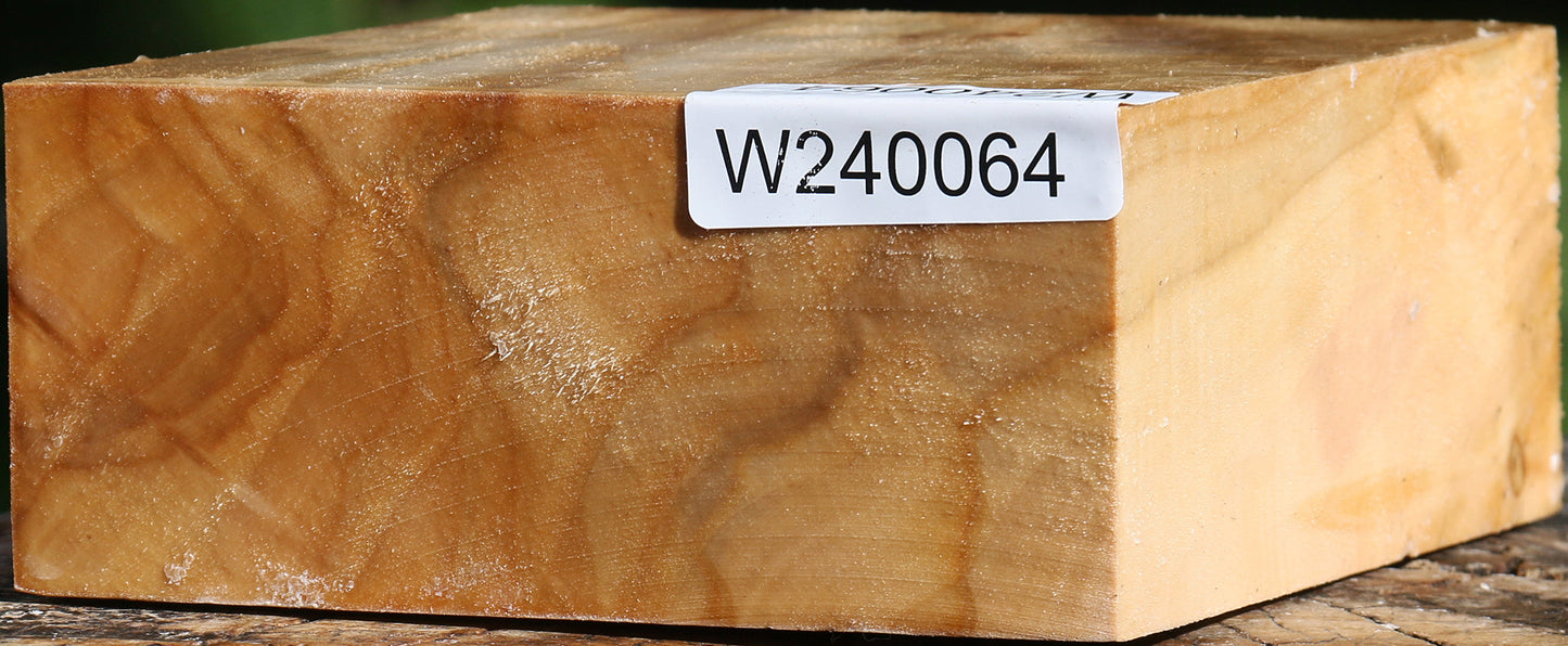 Figured Silver Poplar Bowl Blank