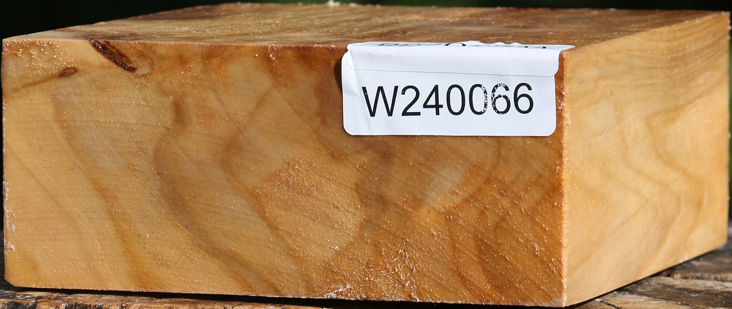 Figured Silver Poplar Bowl Blank