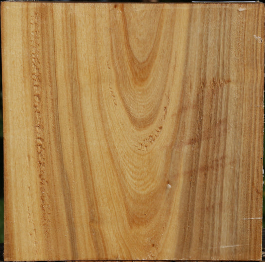 Silver Poplar Bowl Blank