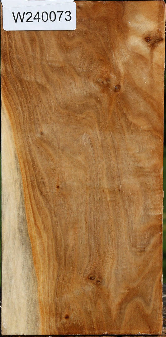 Figured Silver Poplar Vessel Blank