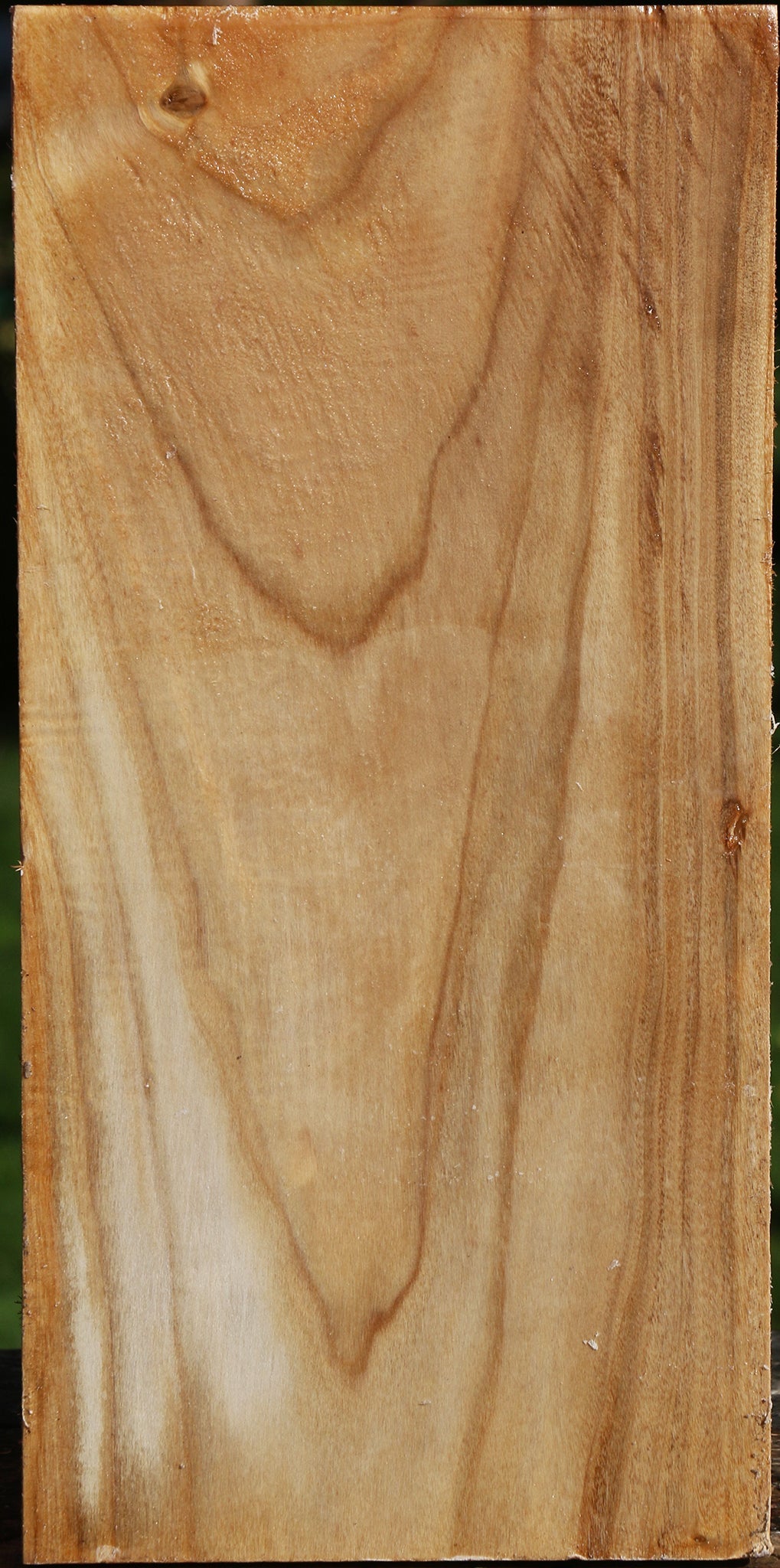 Figured Silver Poplar Vessel Blank