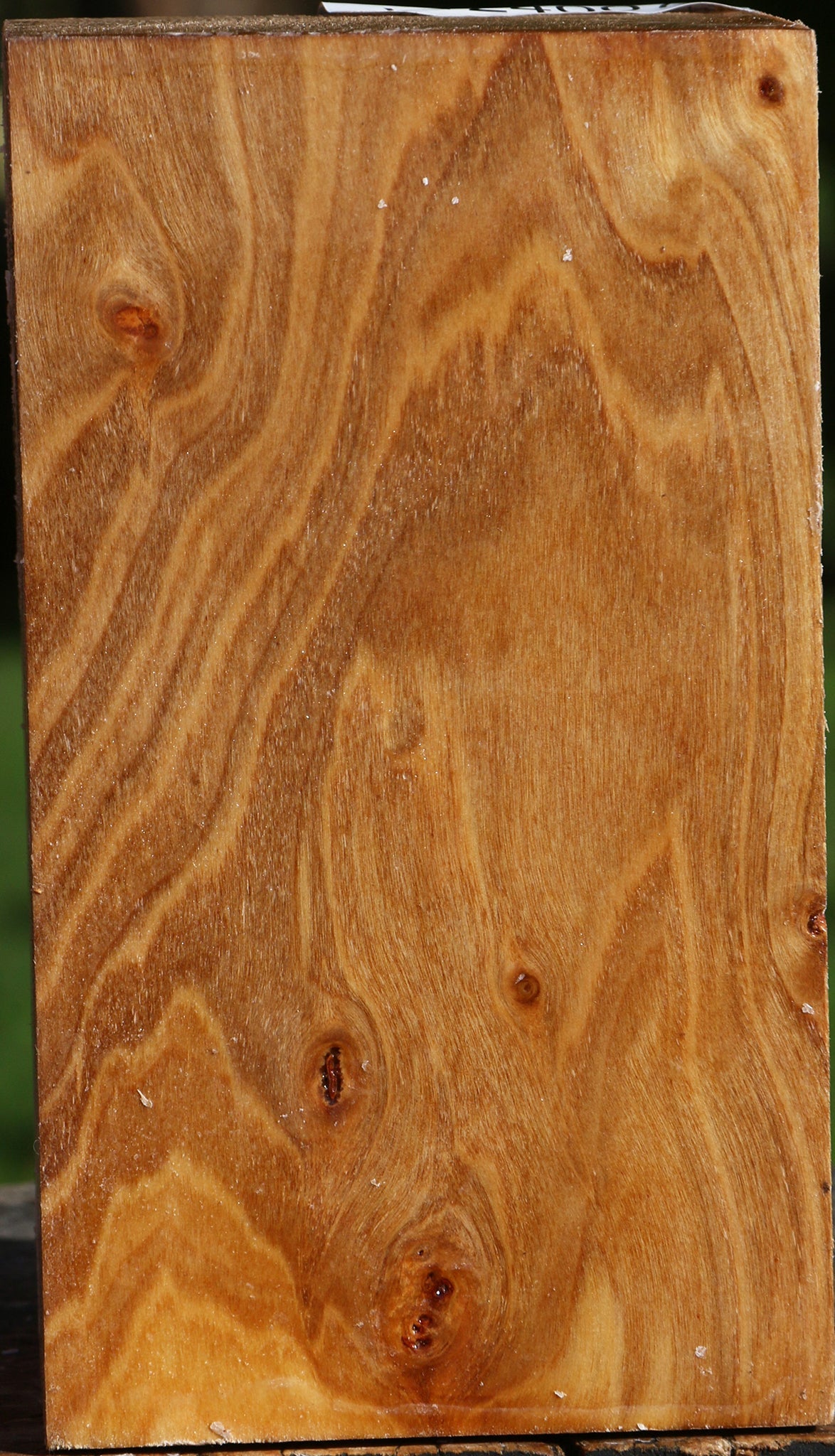 Figured Silver Poplar Turning Square