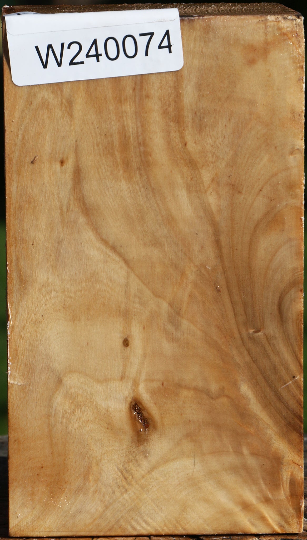 Figured Silver Poplar Turning Square