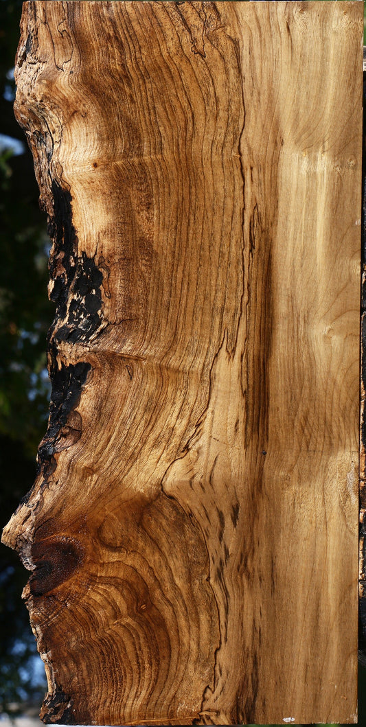 Figured Myrtle Live Edge Lumber