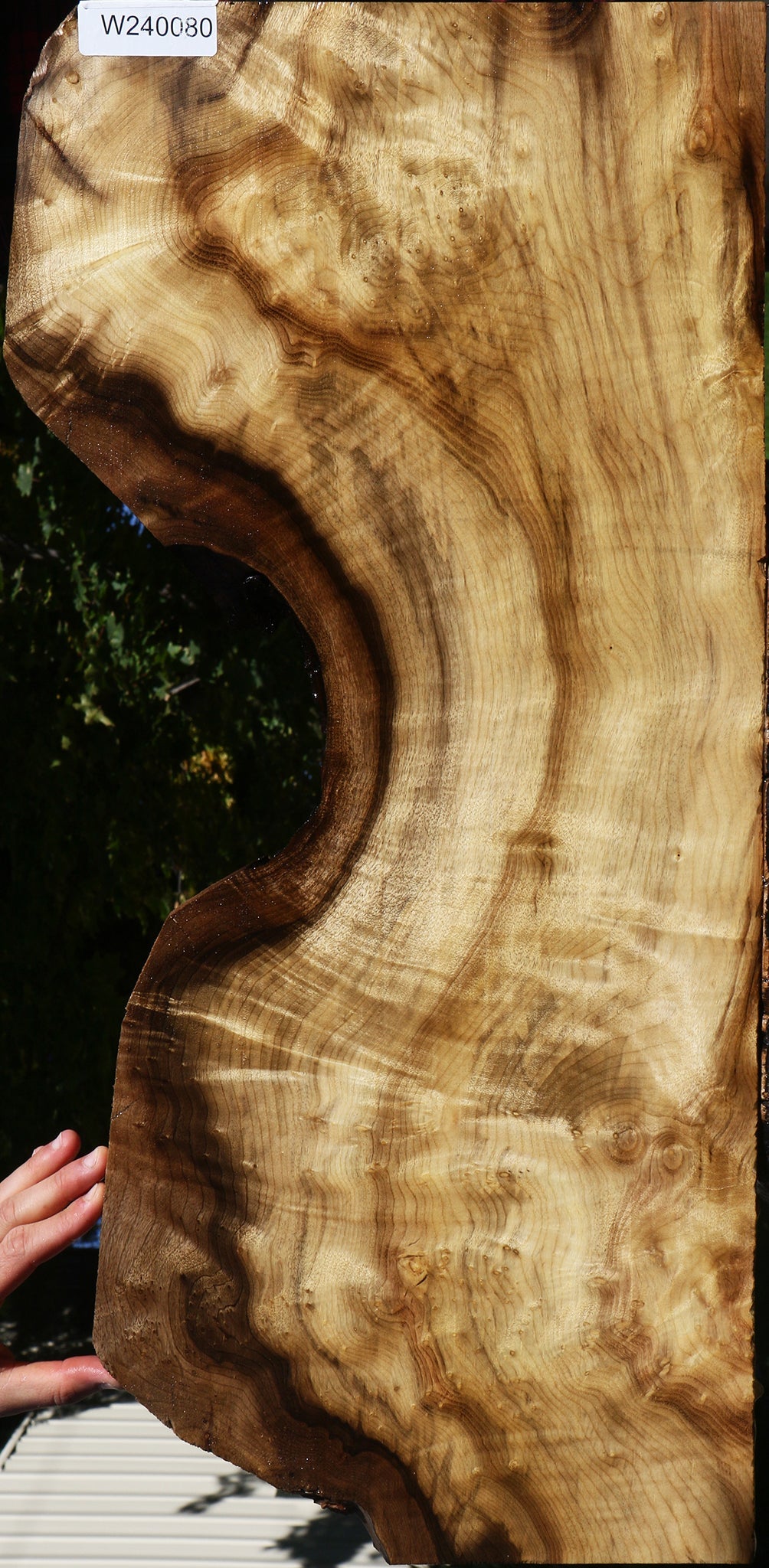 Figured Myrtle Live Edge Lumber