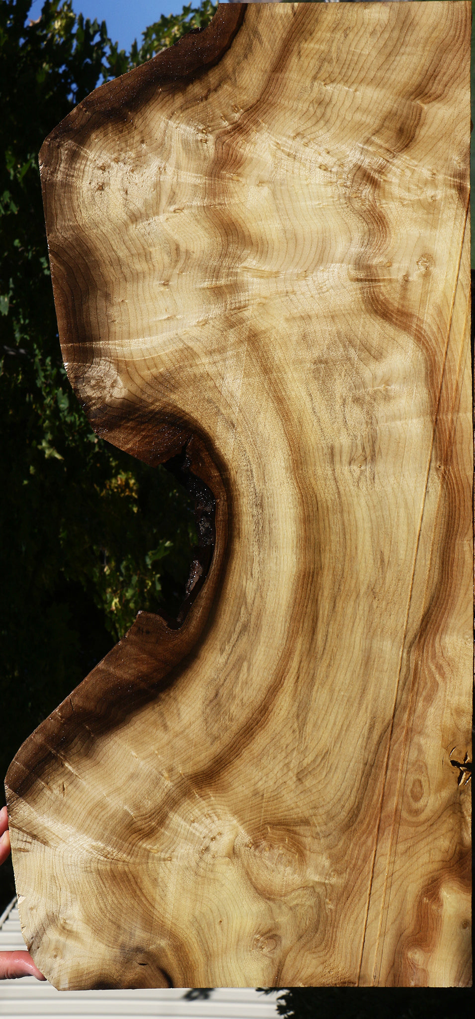 Figured Myrtle Live Edge Lumber