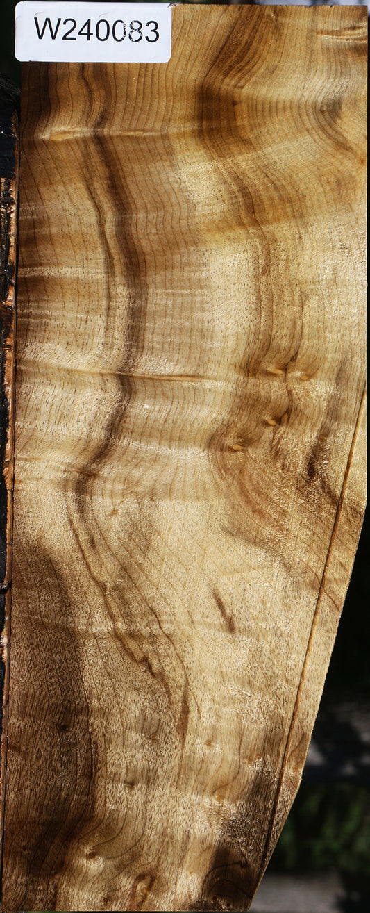 Figured Myrtle Lumber