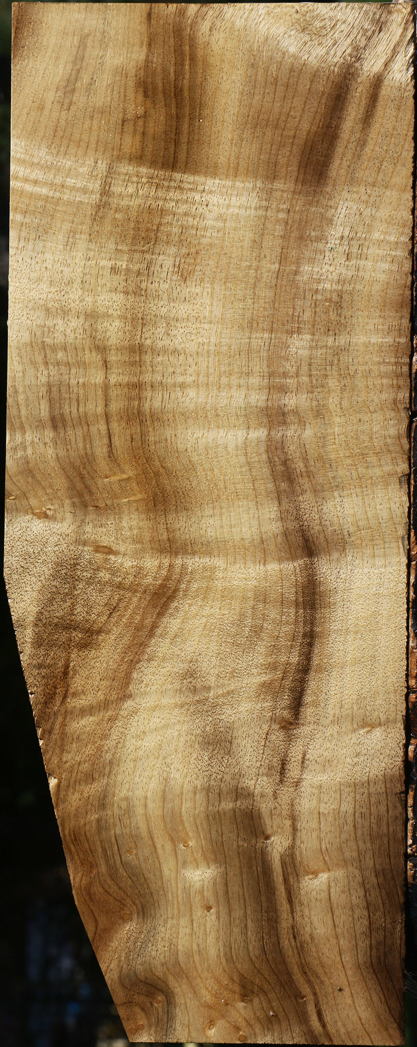 Figured Myrtle Lumber