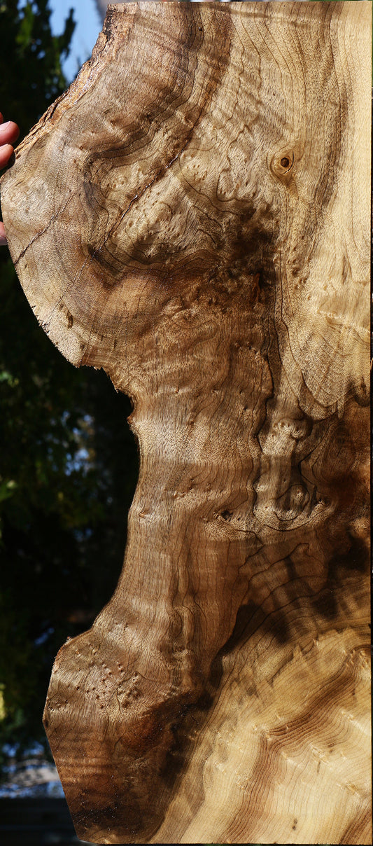 Extra Fancy Myrtle Live Edge Lumber