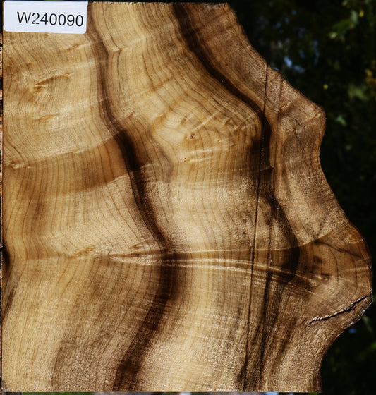 Extra Fancy Myrtle Live Edge Lumber