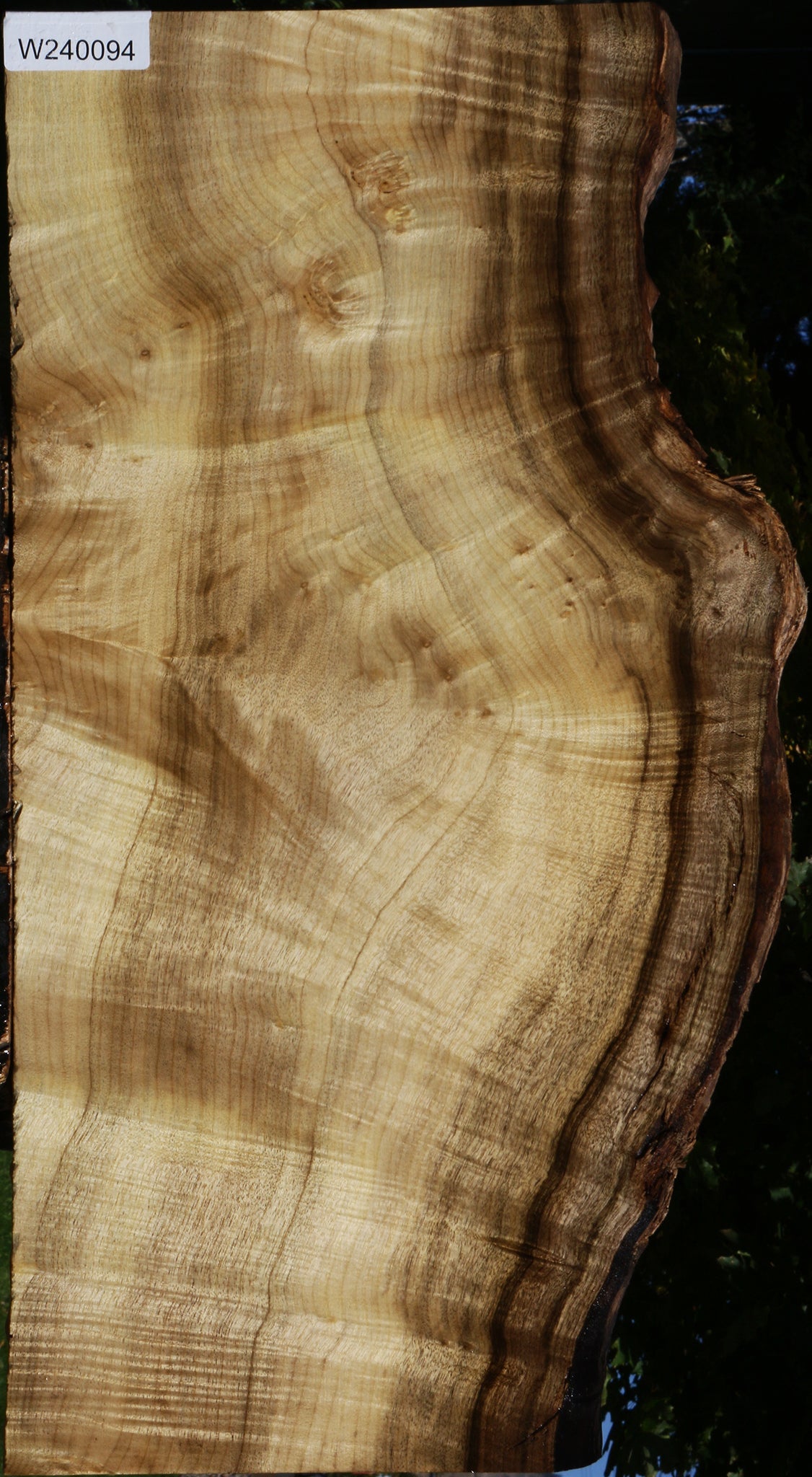Extra Fancy Myrtle Live Edge Lumber