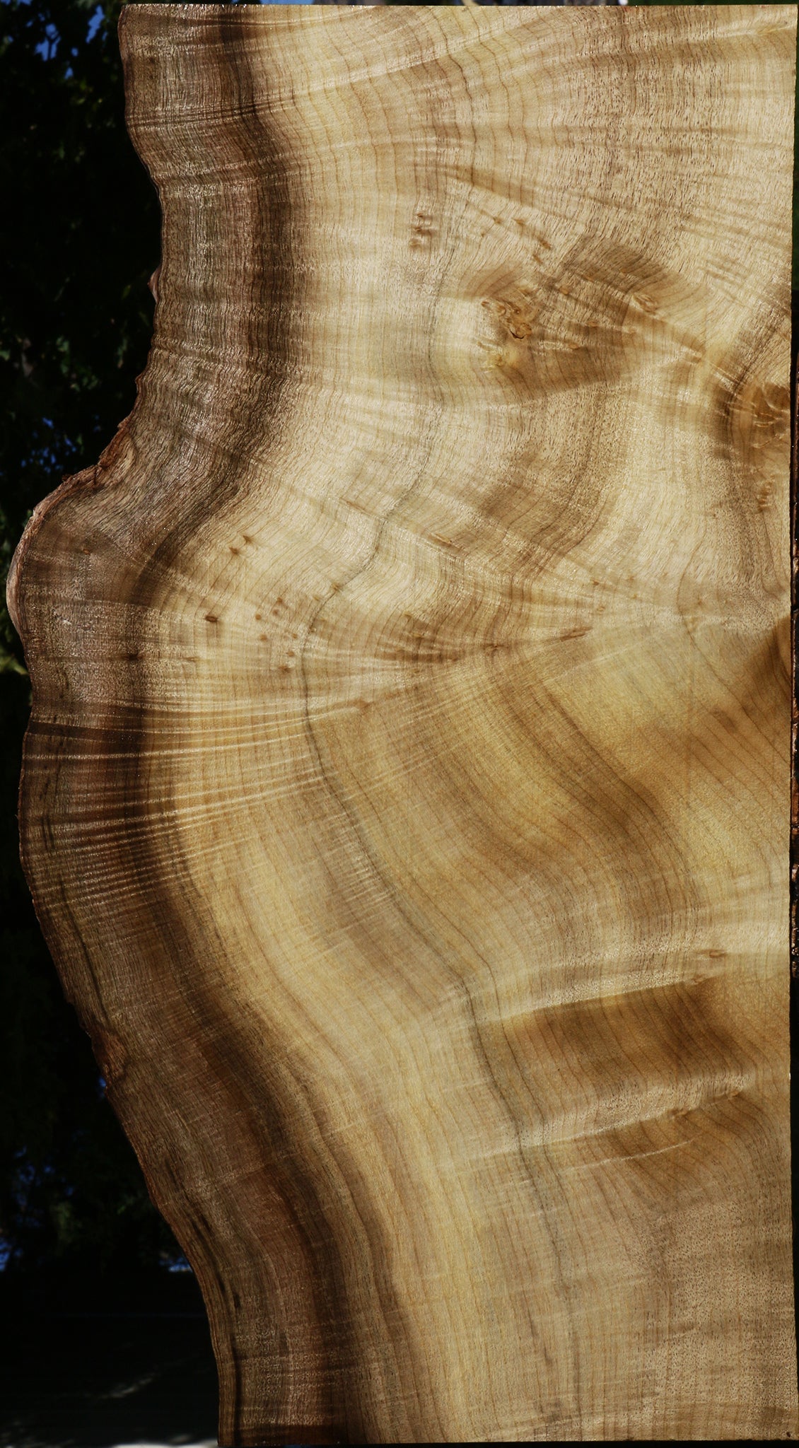 Extra Fancy Myrtle Live Edge Lumber