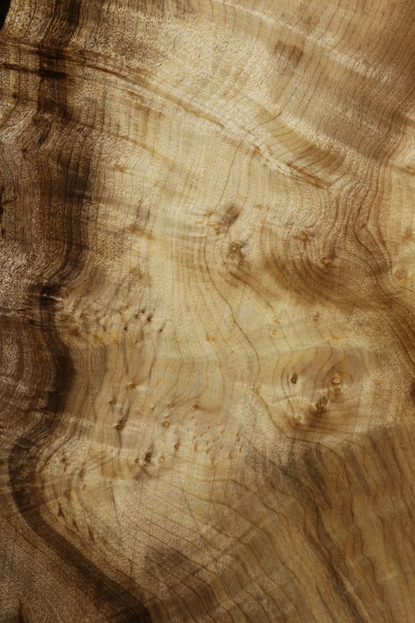 Extra Fancy Myrtle Live Edge Lumber