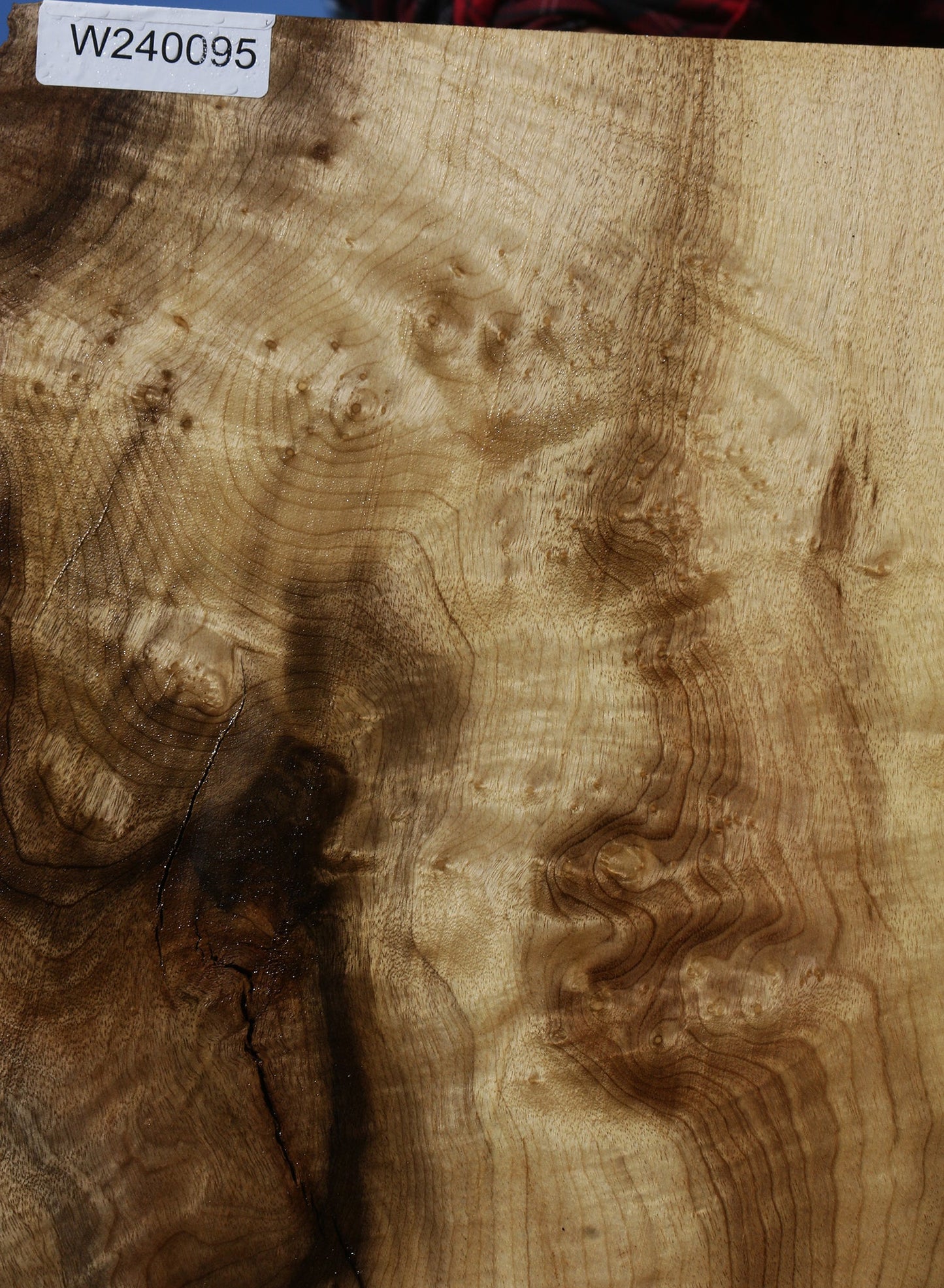 Extra Fancy Myrtle Live Edge Lumber