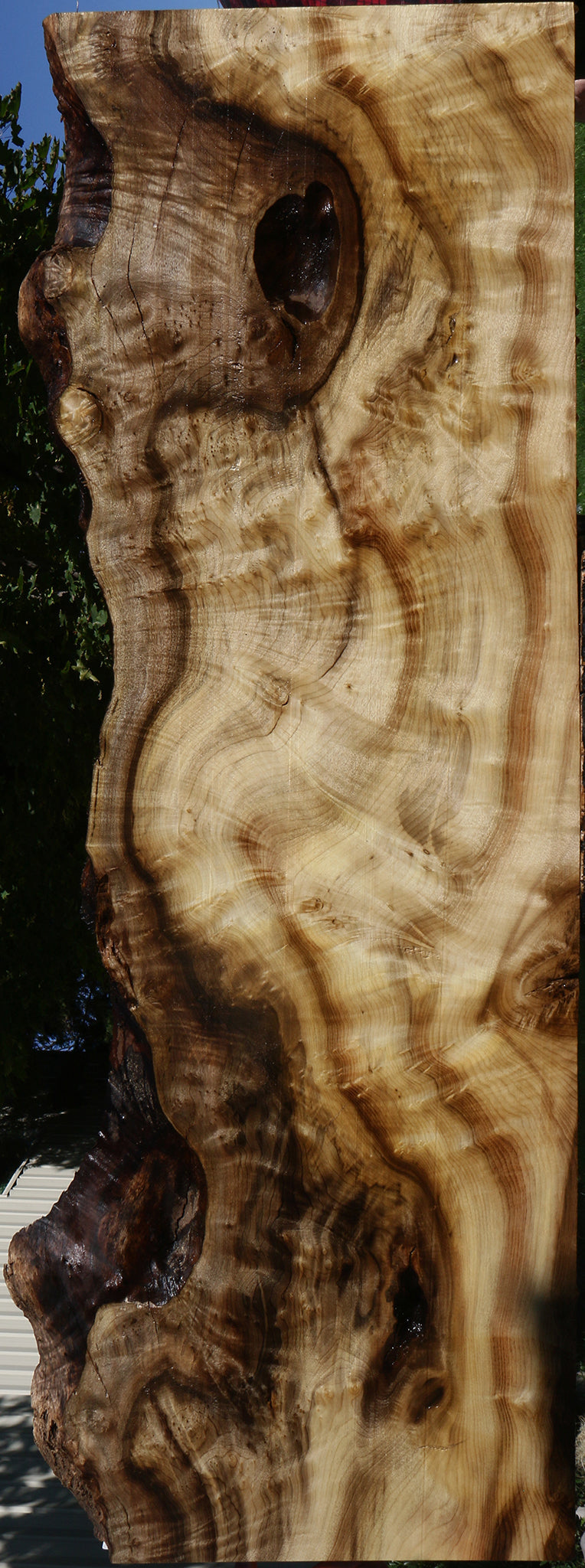 Extra Fancy Myrtle Live Edge Lumber