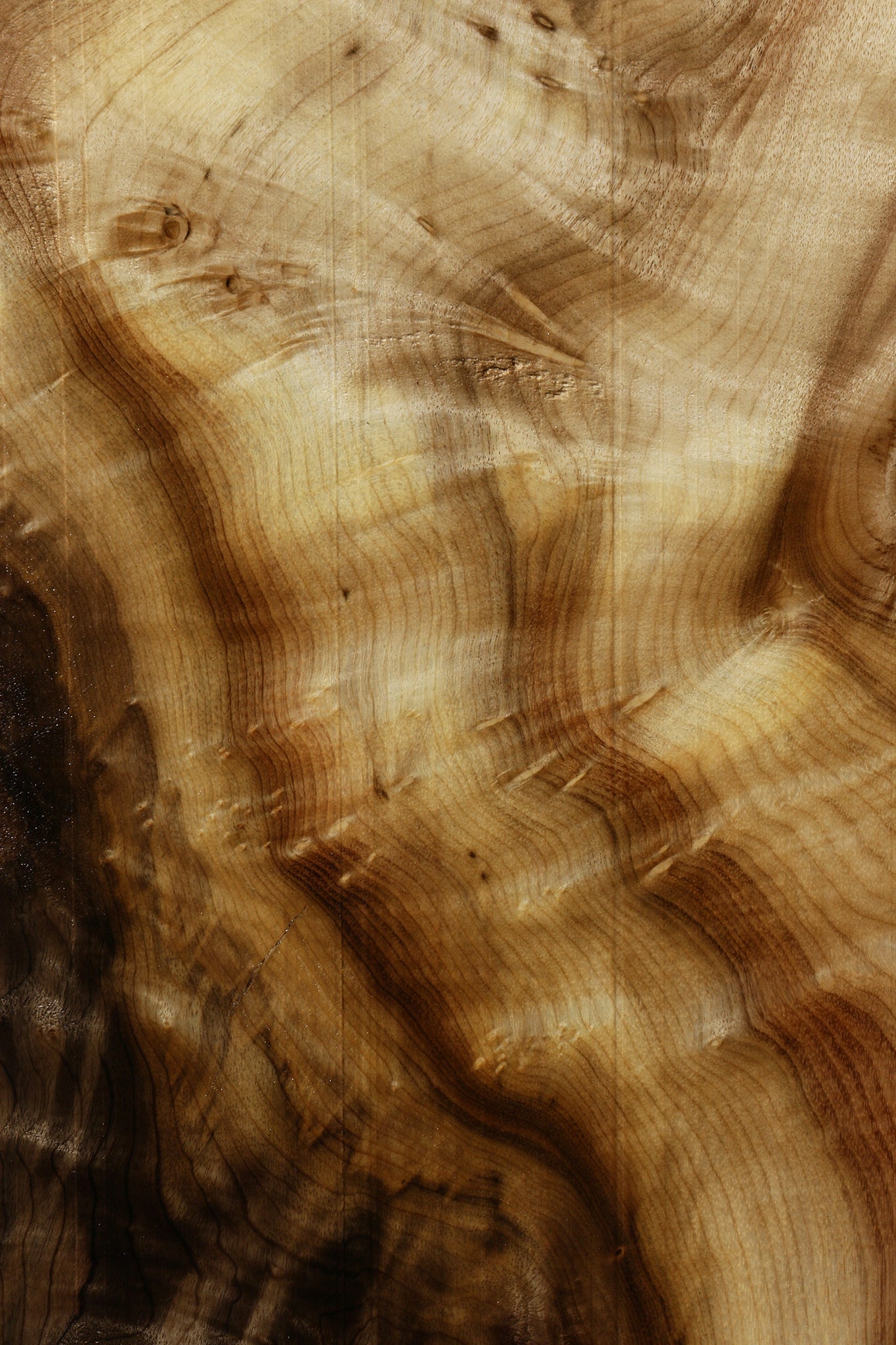 Extra Fancy Myrtle Live Edge Lumber