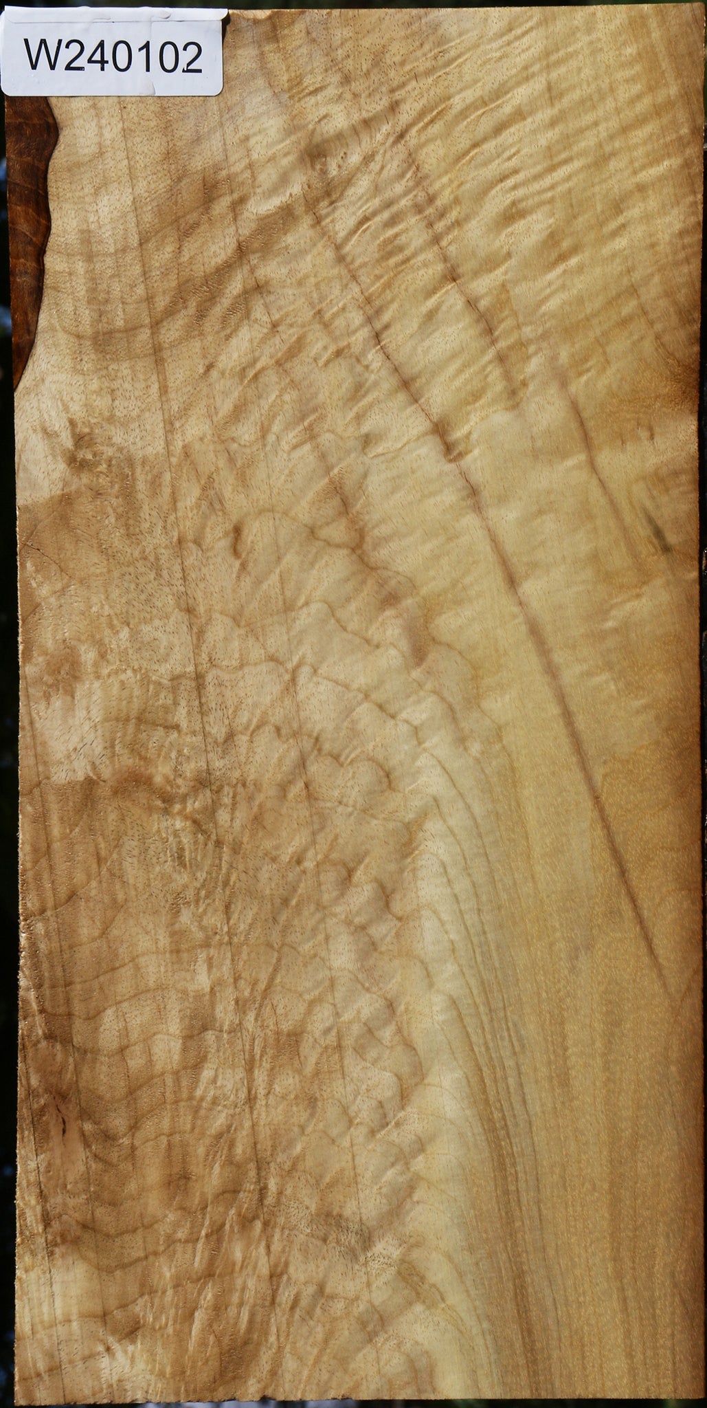 Extra Fancy Myrtle Lumber