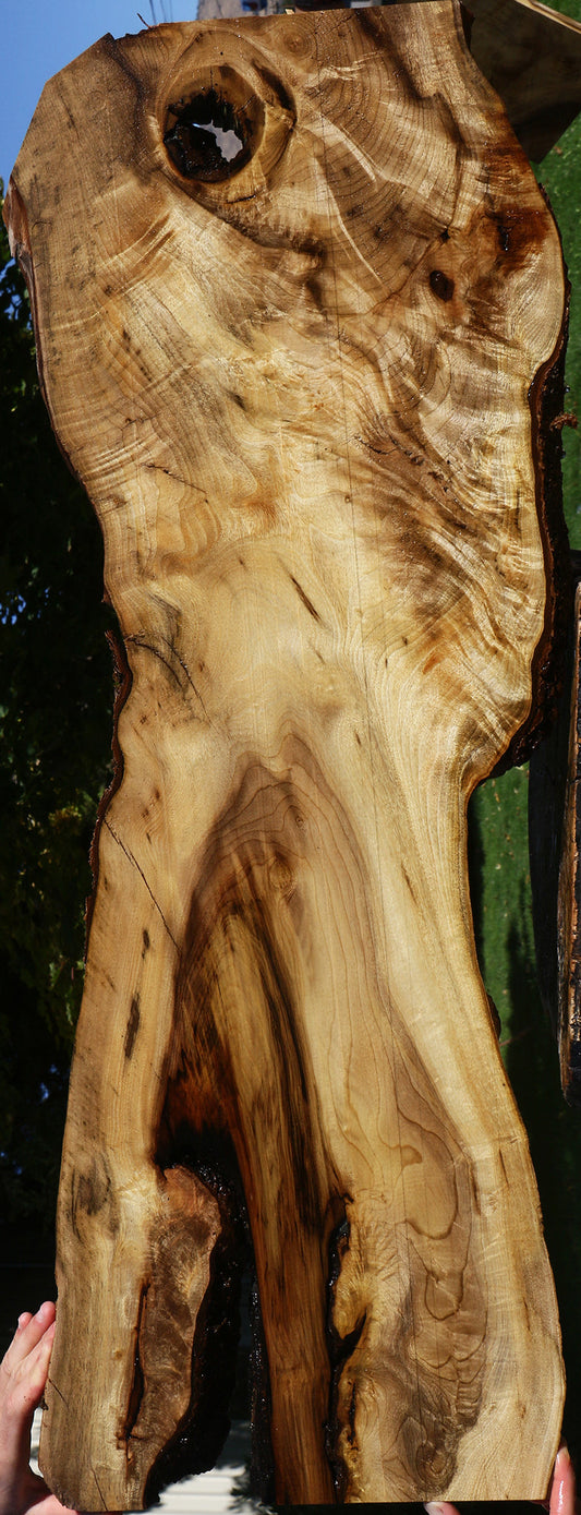 Extra Fancy Myrtle Live Edge Lumber