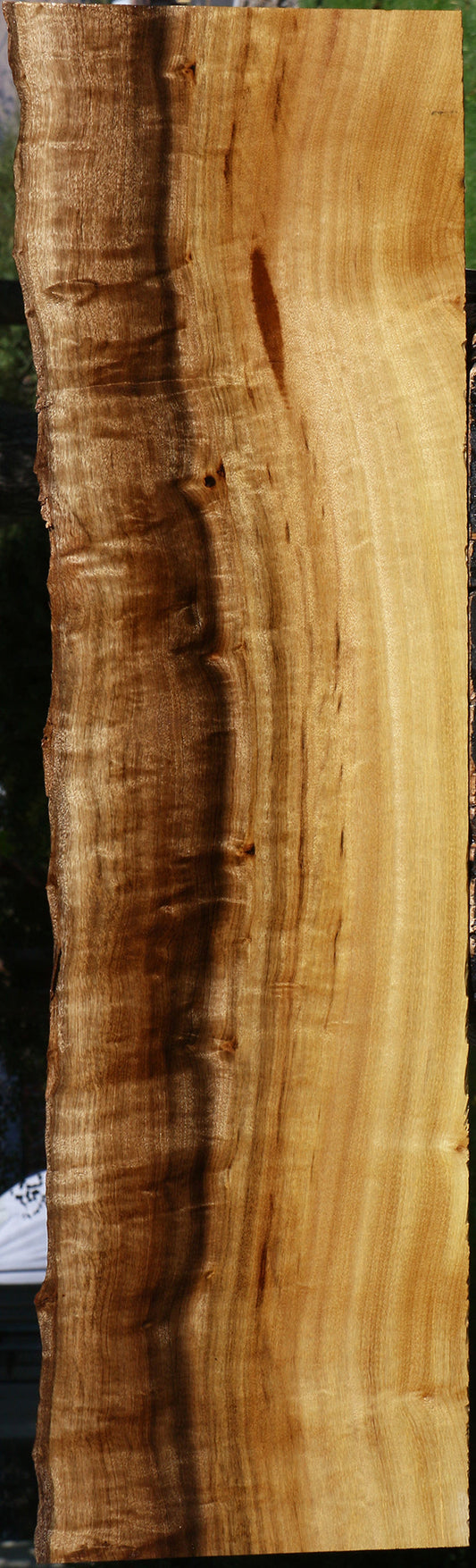 Figured Myrtle Live Edge Lumber