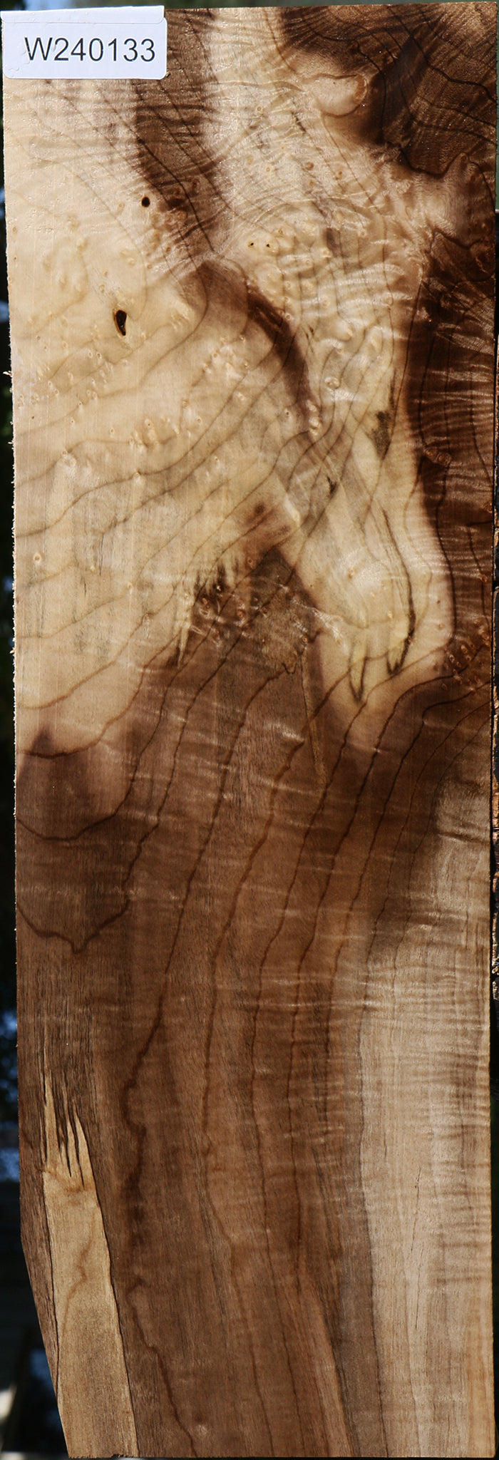 Exhibition Myrtle Lumber