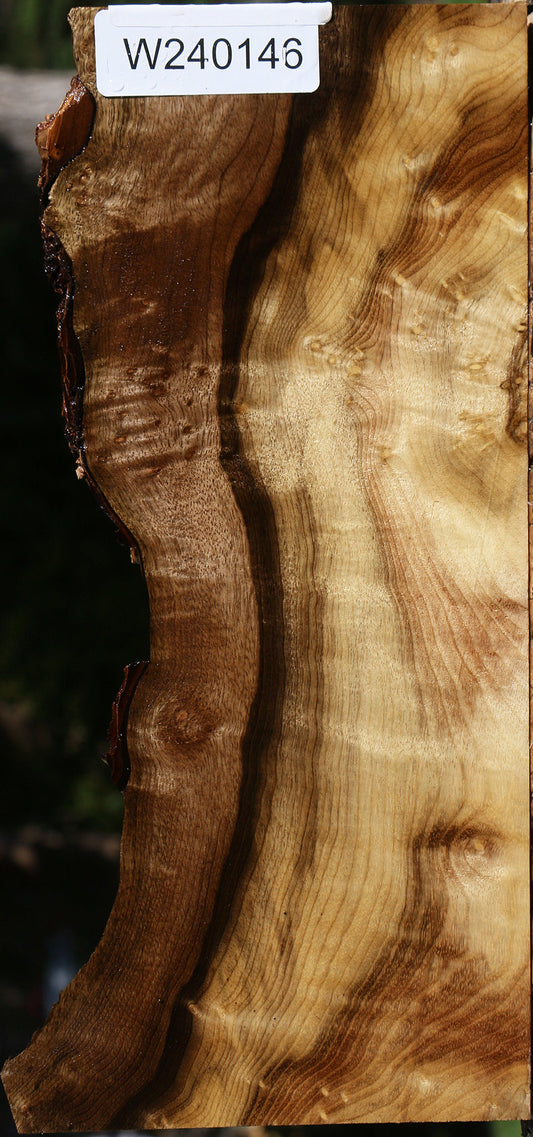 Extra Fancy Myrtle Live Edge Lumber