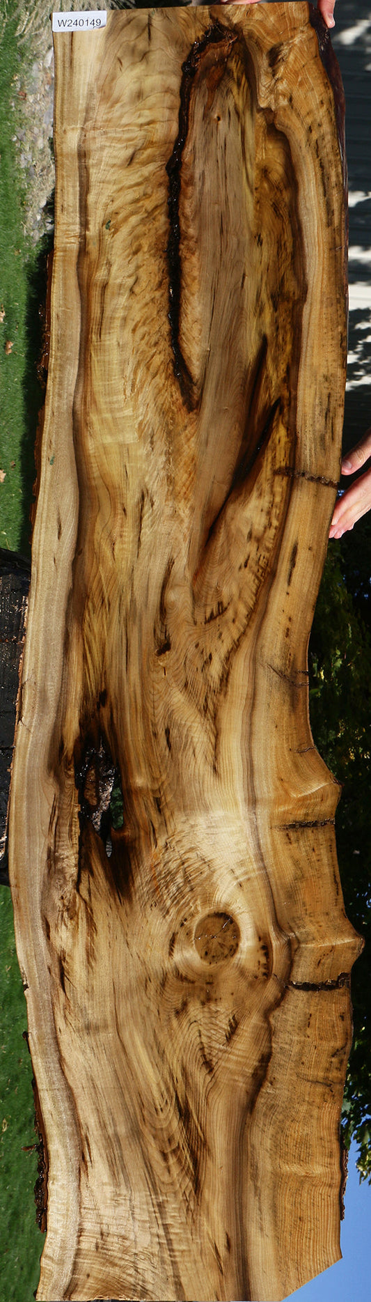 Extra Fancy Myrtle Live Edge Lumber