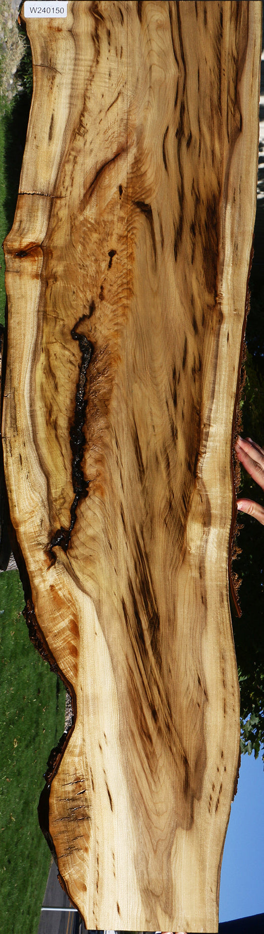 Extra Fancy Myrtle Live Edge Lumber