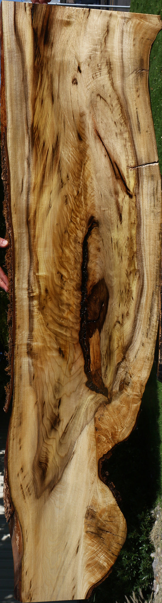 Extra Fancy Myrtle Live Edge Lumber