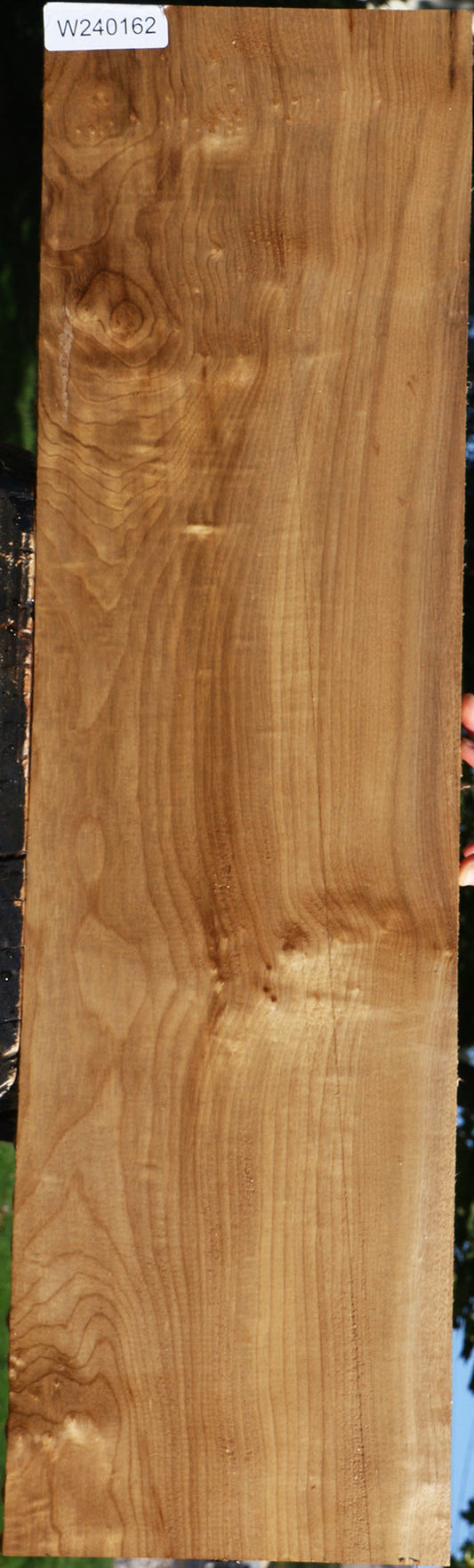 Extra Fancy Myrtle Lumber